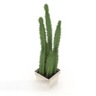 Meubles d'intérieur en pot de cactus