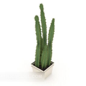 Indoor Cactus Potted Furniture 3d model