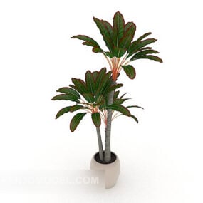 Indoor Common Potted 3d model