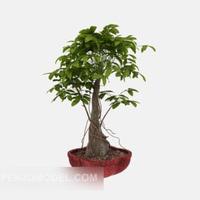 Πράσινο φυτό εσωτερικού χώρου τρισδιάστατο μοντέλο