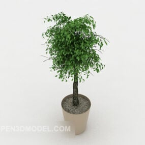 Innendørs Plant Bonsai Plant V1 3d-modell