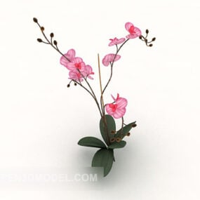 Indoor Plant Bouquet 3d model