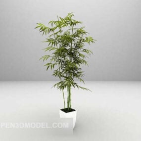 Indoor Bamboo Tree Decoration 3d model
