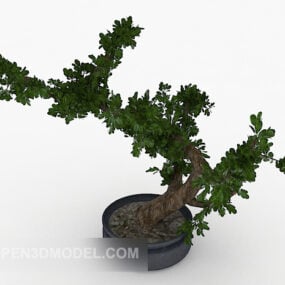 Model 3d Pohon Hiasan Bonsai njero ruangan