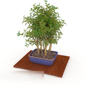 3д модель комнатного растения бонсай в азиатском стиле
