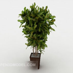 Indoor Courtyard Potted Tree 3d model