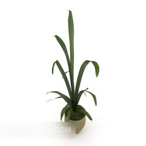 Modello 3d di pianta in vaso ornamentale verde per interni