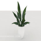 Indoor Green Potted Plant