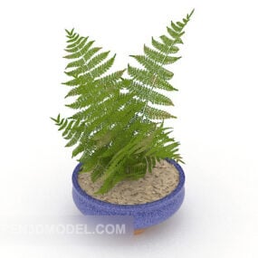 Indoor Green Small Potted 3d model