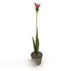 Bunga Pot Minimalis Dalaman