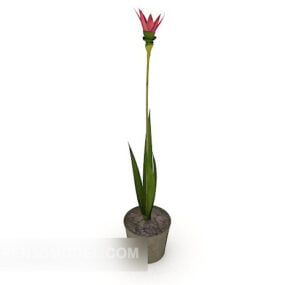 Kapalı Minimalist Saksı Çiçeği 3d modeli