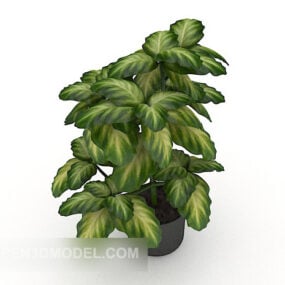3д модель комнатного декоративнолистного растения в горшке