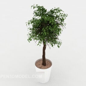 Modello 3d in vaso per piante da interno