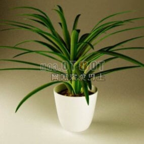 Indoor White Potted Plant 3d model