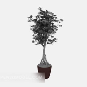 Plantes d'intérieur en pot Lowpoly modèle 3d