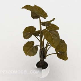 Indoor Simple Common Potted 3d model