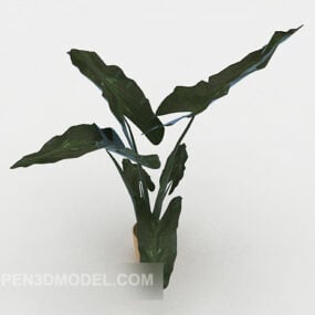 Binnen Eenvoudige Kleine Bonsai Groot Blad 3D-model