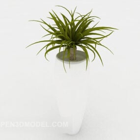 Tropická vnitřní malá bonsai 3D model