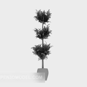 Indoor Small Potted Tree 3d model