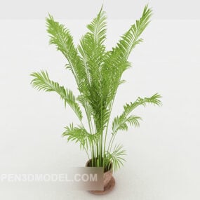 屋内テンダーグリーン盆栽3Dモデル