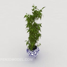 Indoor Viewing Potted 3d model