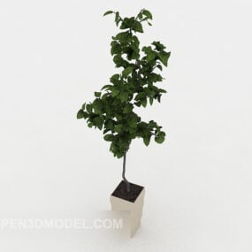 Modelo 3d de bonsai de decoração de interiores