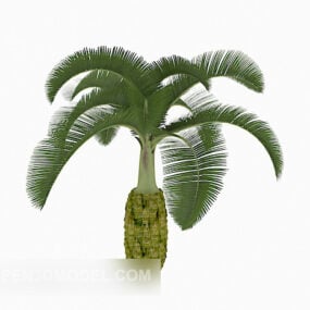 3д модель американской пальмы