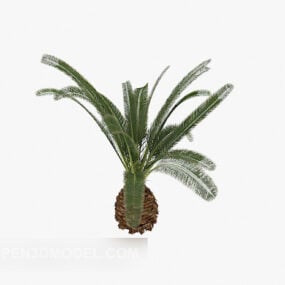 Tuin Kleine palmboom 3D-model