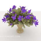 Accueil Fleur Violet