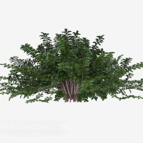 Dżungla Krzewy Drzewa Model 3D