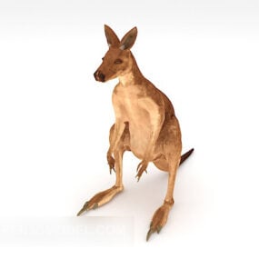 Kangaroo V1 דגם תלת מימד