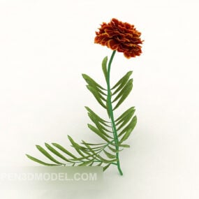 Stort krysantemum blomstertræ 3d-model