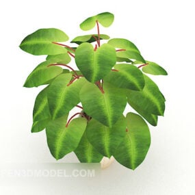 Large Leaf Indoor Potted Plant 3d model