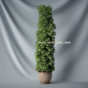 Grande plante en pot en terre cuite modèle 3D