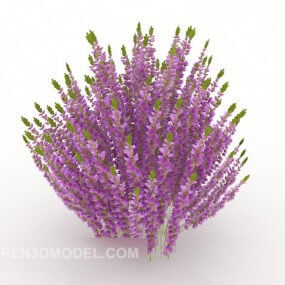 Lavender Bushes 3d model