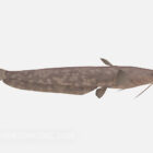 نموذج 3D الأسماك الملتحية الطويلة