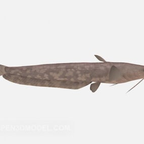 긴 수염 물고기 동물 3d 모델