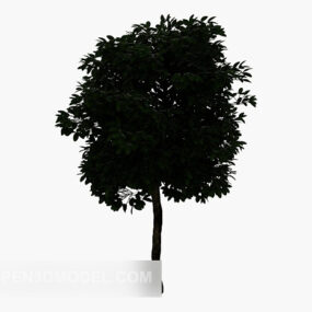 마오 샨다 나무 3d 모델