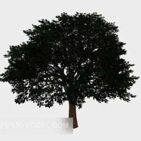 Modern Landscape Tree Broad Leaf 3d model