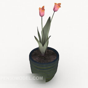 Tulip Flower Potted Plant 3d model