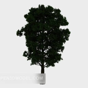 Green Tree Outdoor Plant 3d model