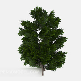 Multi-branched Green Tree Plant 3d model