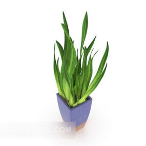 Office Potted Plant Decor 3d model