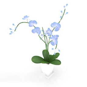 Mô hình chậu hoa lan 3d