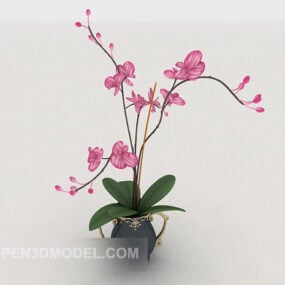 3д модель декоративного растения орхидеи