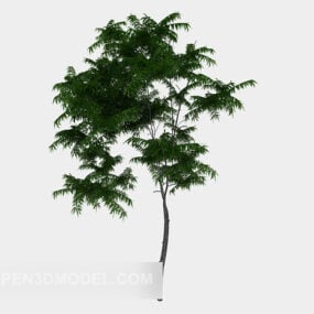 3D-модель звичайної зеленої рослини на вулиці