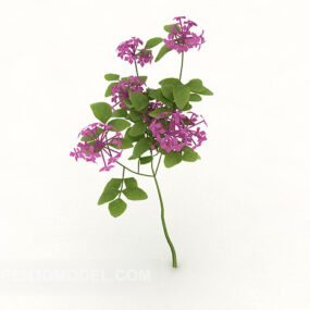 Ornamental blomstrende plante 3d-model