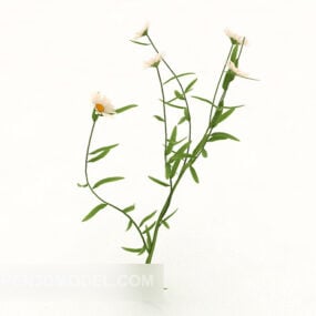 3д модель уличного растения хризантемы