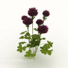 Outdoor Common Flower 3d model