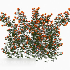 Outdoor Common Flowering Plant 3d model